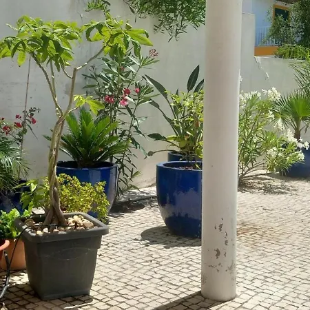Casa Mimosa